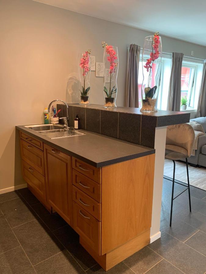 Notodden Sentrum Apartment No 8 Zewnętrze zdjęcie