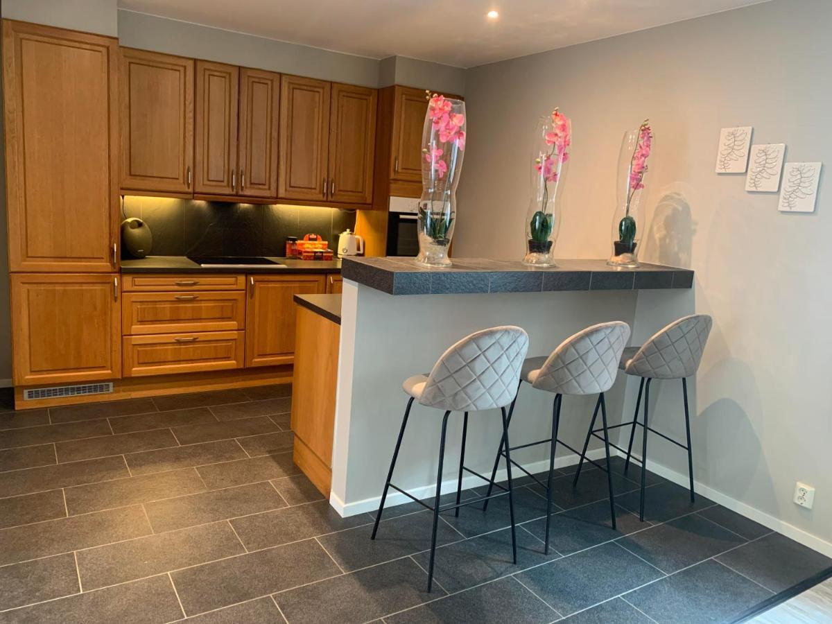 Notodden Sentrum Apartment No 8 Zewnętrze zdjęcie